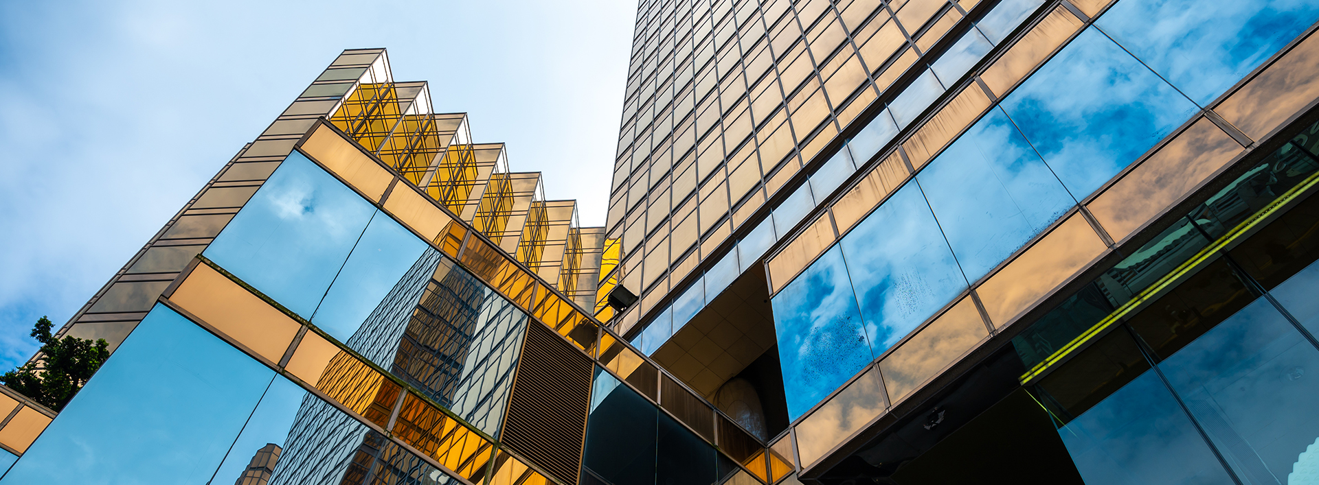 Jak wdrożyć BIM w firmie? Od planu do codziennej pracy